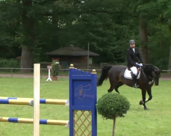 Reitturnier Hamburg-Friedrichshulde 2016