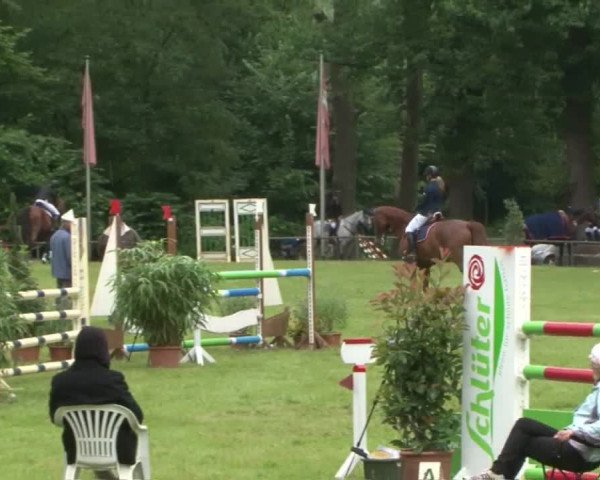 Reitturnier Hamburg-Friedrichshulde 2016