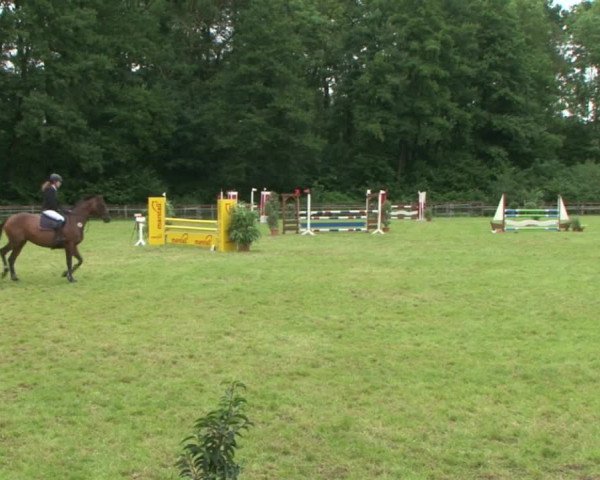 Reitturnier Hamburg-Friedrichshulde 2016