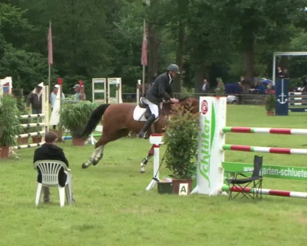 Reitturnier Hamburg-Friedrichshulde 2016