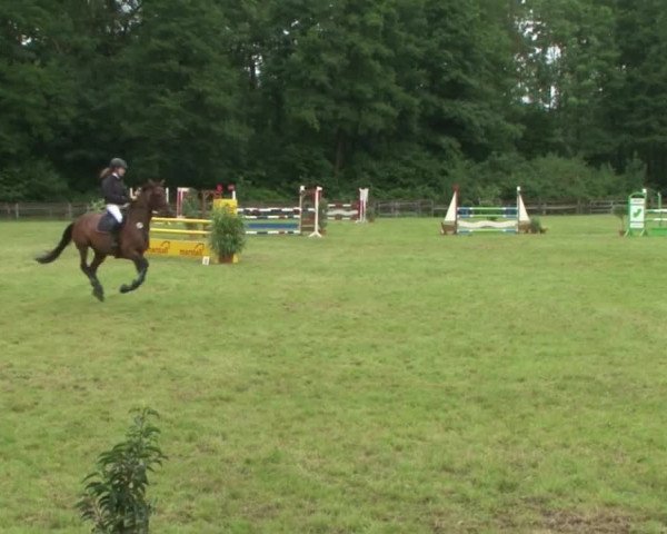 Reitturnier Hamburg-Friedrichshulde 2016