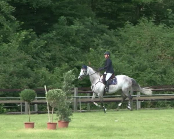 Reitturnier Hamburg-Friedrichshulde 2016