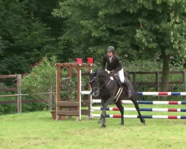 Reitturnier Hamburg-Friedrichshulde 2016