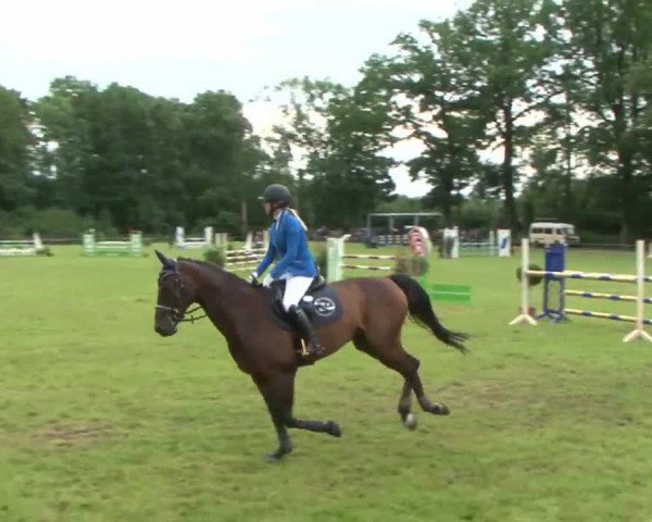 Reitturnier Hamburg-Friedrichshulde 2016