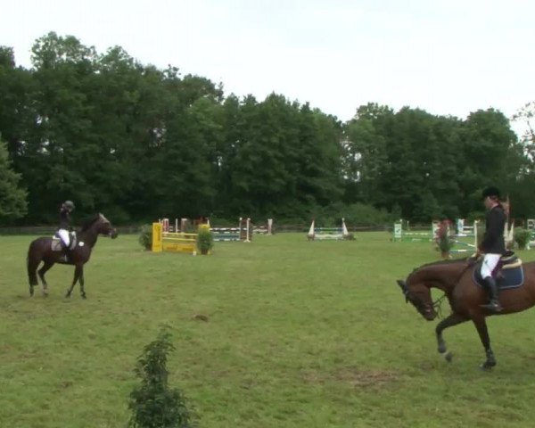 Reitturnier Hamburg-Friedrichshulde 2016