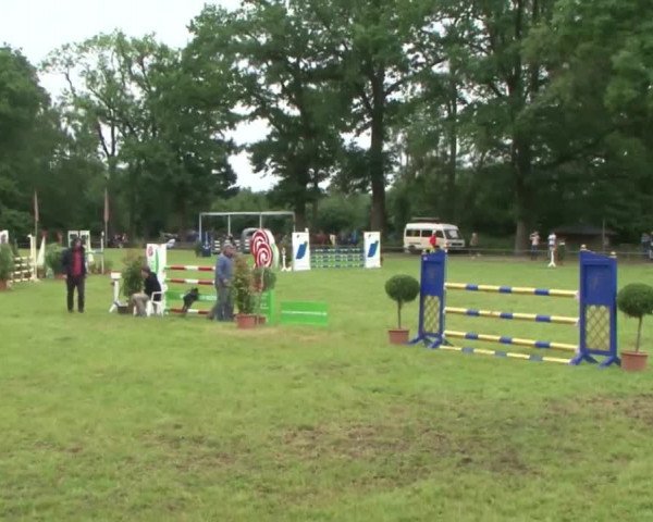 Reitturnier Hamburg-Friedrichshulde 2016