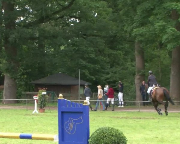 Reitturnier Hamburg-Friedrichshulde 2016