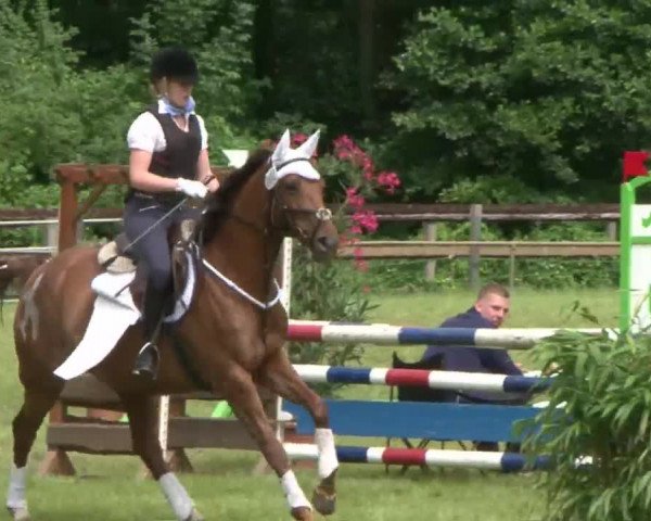 Reitturnier Hamburg-Friedrichshulde 2016