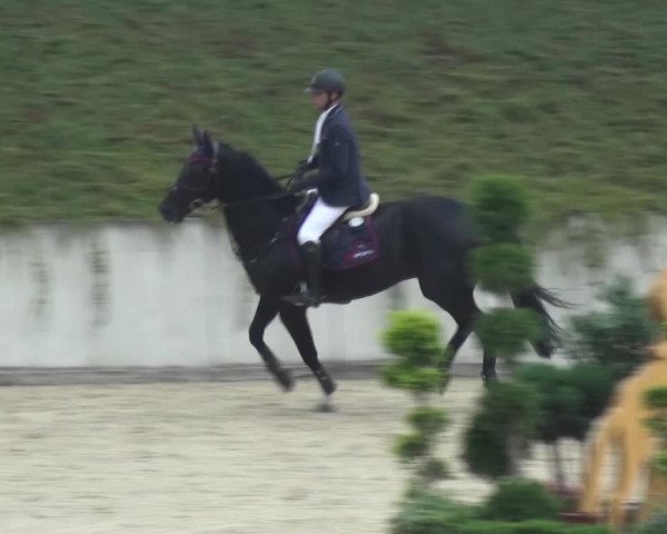 Reitturnier Lohmar-Halberg 2016