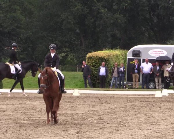 Reitturnier Münster-Handorf 2016