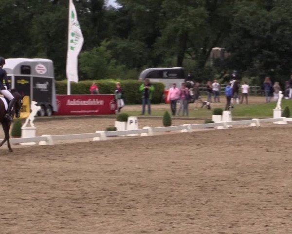 Reitturnier Münster-Handorf 2016