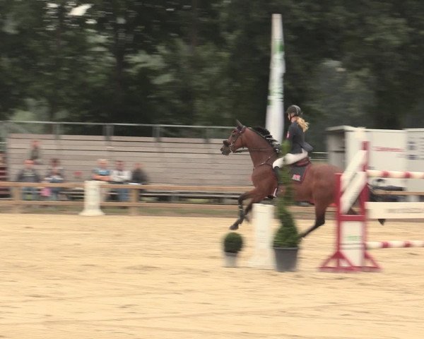 Westfalen-Woche 2016