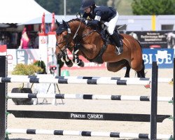 jumper Cassiopeia (Hanoverian, 2007, from Catoki)