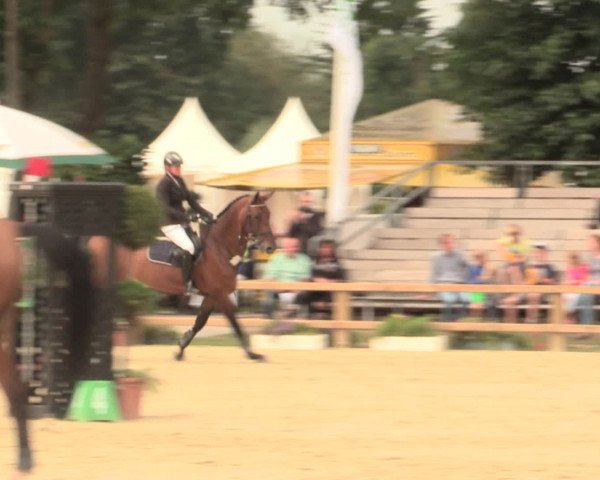 Westfalen-Woche 2016