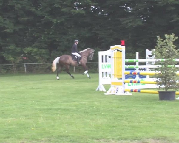 Reitturnier Felmerholz 2016