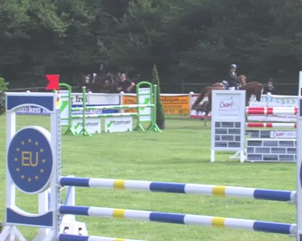 Reitturnier Felmerholz 2016