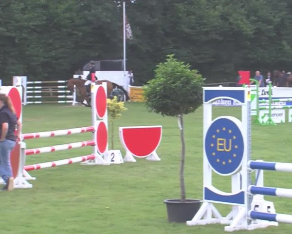 Reitturnier Felmerholz 2016