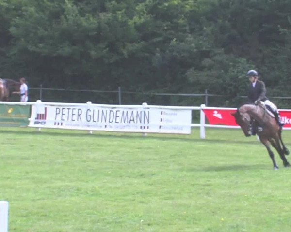 Reitturnier Felmerholz 2016