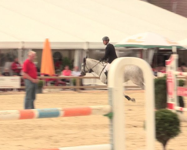 Reitturnier Münster-Handorf 2016
