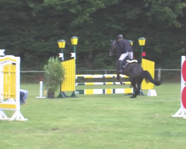 Reitturnier Felmerholz 2016