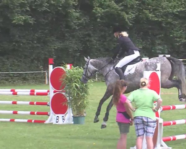 Reitturnier Felmerholz 2016