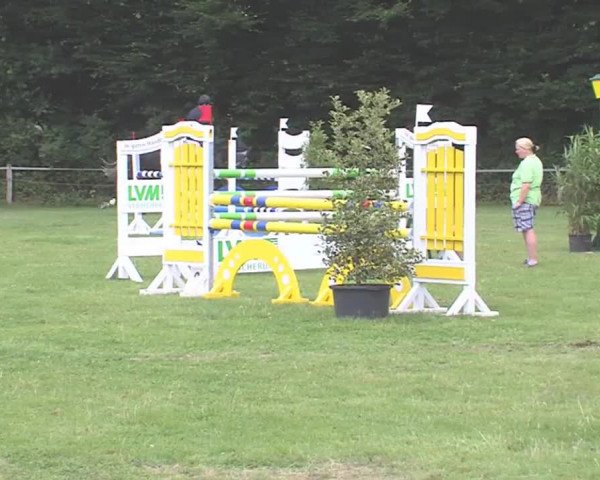 Reitturnier Felmerholz 2016