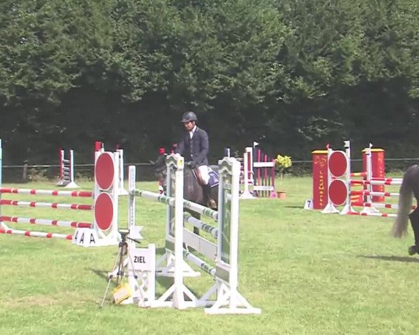 Reitturnier Felmerholz 2016