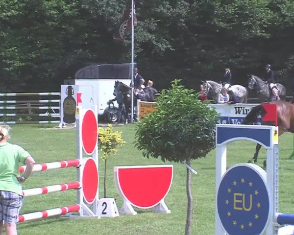 Reitturnier Felmerholz 2016