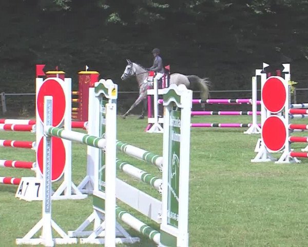 Reitturnier Felmerholz 2016