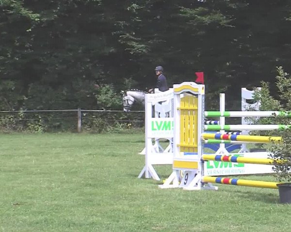 Reitturnier Felmerholz 2016