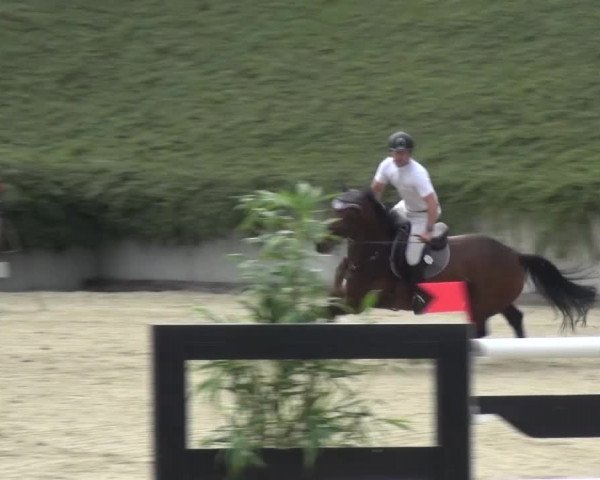 Reitturnier Lohmar-Halberg 2016