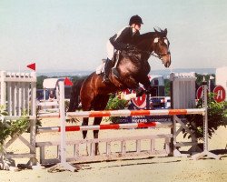 jumper Copacabana W (Spanish Sport Horse, 2011, from Jorris)