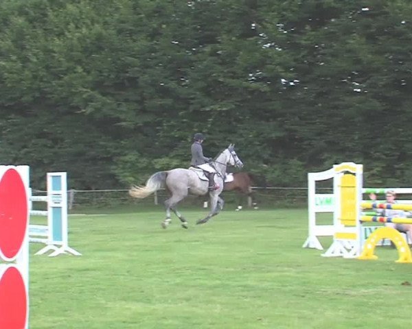Reitturnier Felmerholz 2016