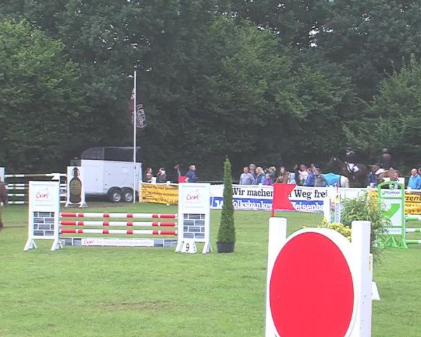 Reitturnier Felmerholz 2016