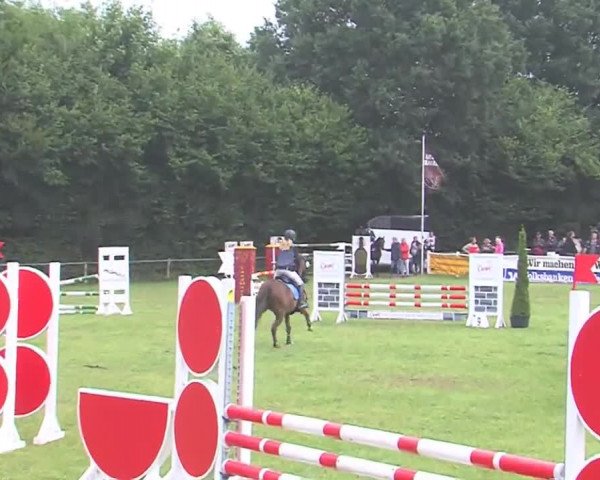 Reitturnier Felmerholz 2016