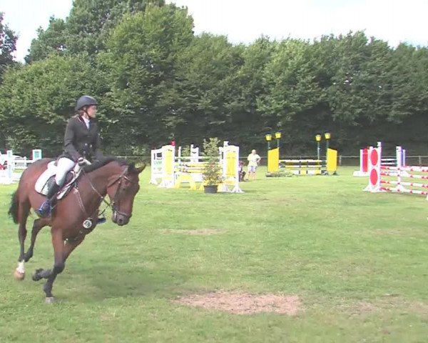 Reitturnier Felmerholz 2016