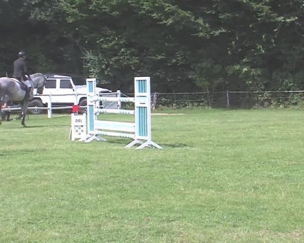 Reitturnier Felmerholz 2016