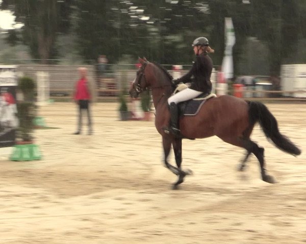 Westfalen-Woche 2016