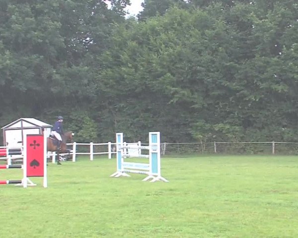Reitturnier Felmerholz 2016