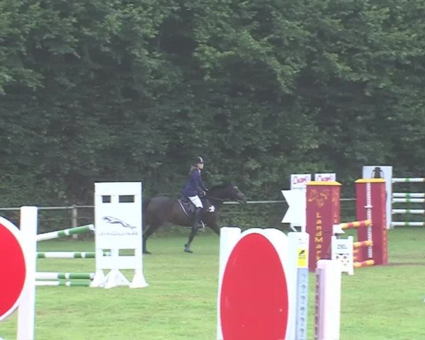 Reitturnier Felmerholz 2016