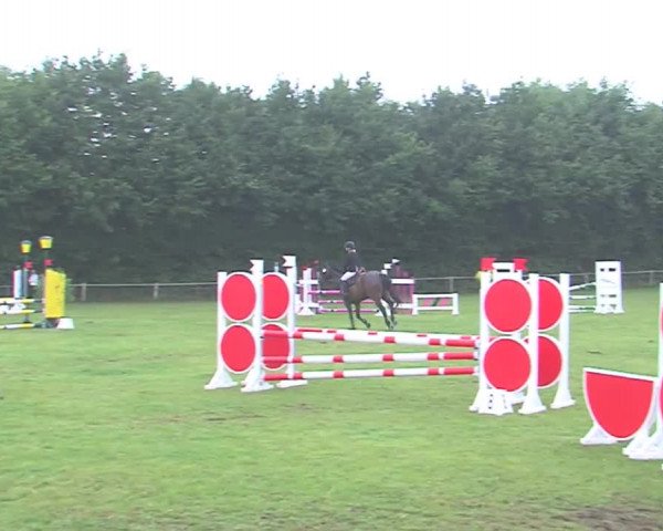 Reitturnier Felmerholz 2016