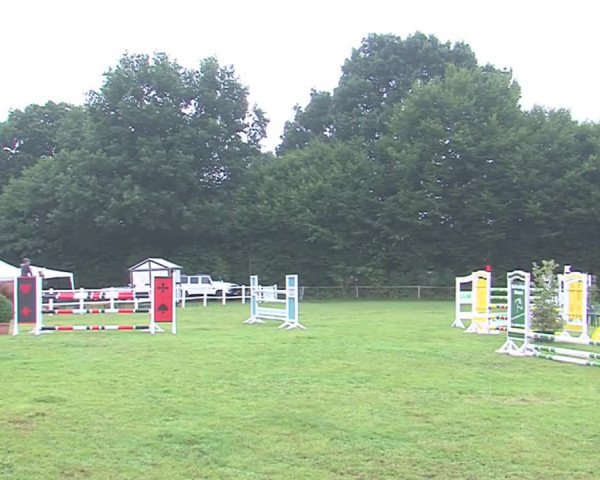 Reitturnier Felmerholz 2016