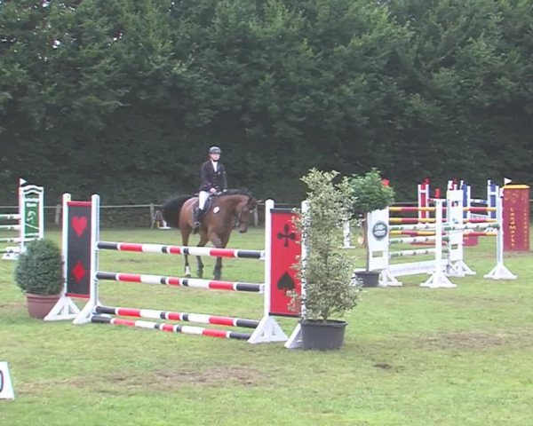 Reitturnier Felmerholz 2016