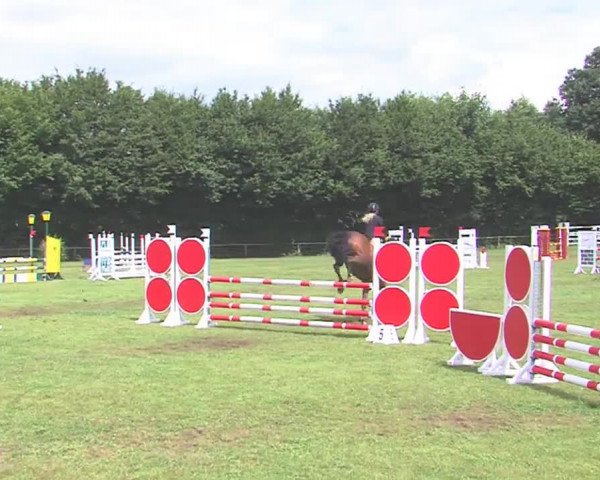 Reitturnier Felmerholz 2016