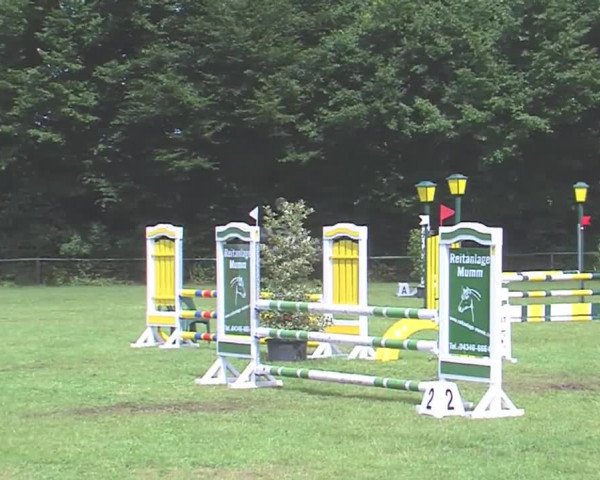 Reitturnier Felmerholz 2016