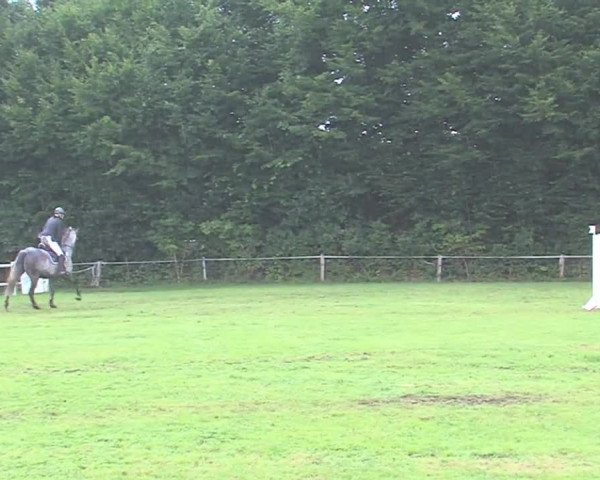 Reitturnier Felmerholz 2016