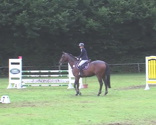 Reitturnier Felmerholz 2016