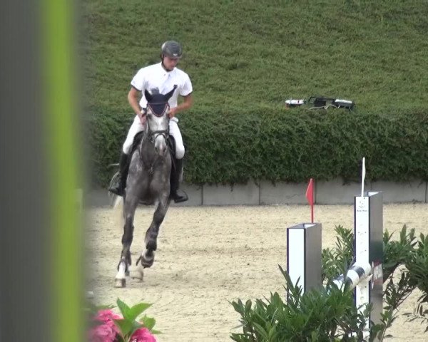 Reitturnier Lohmar-Halberg 2016