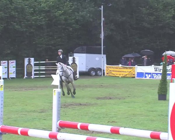 Reitturnier Felmerholz 2016