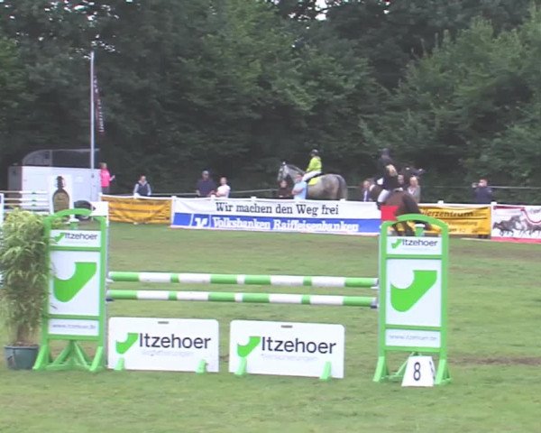 Reitturnier Felmerholz 2016